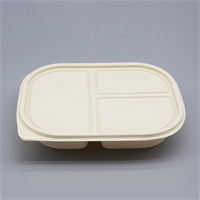 Food container 3 grid 1000 ml from Disposables Inc. The best import service in China. Import your disposable items from us.